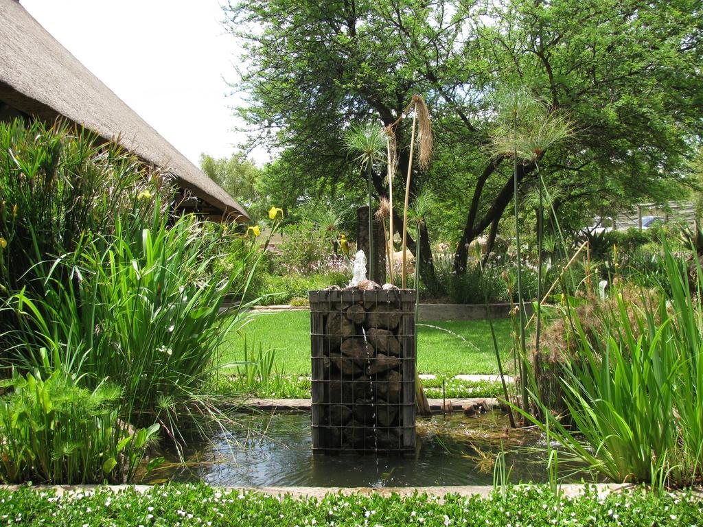 Aloe Lane Guest Lodge Kyalami Экстерьер фото