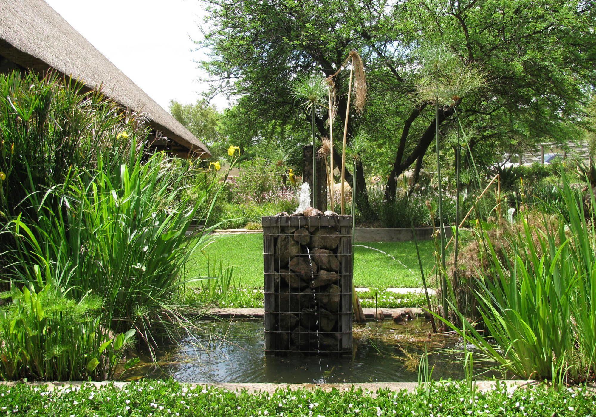 Aloe Lane Guest Lodge Kyalami Экстерьер фото