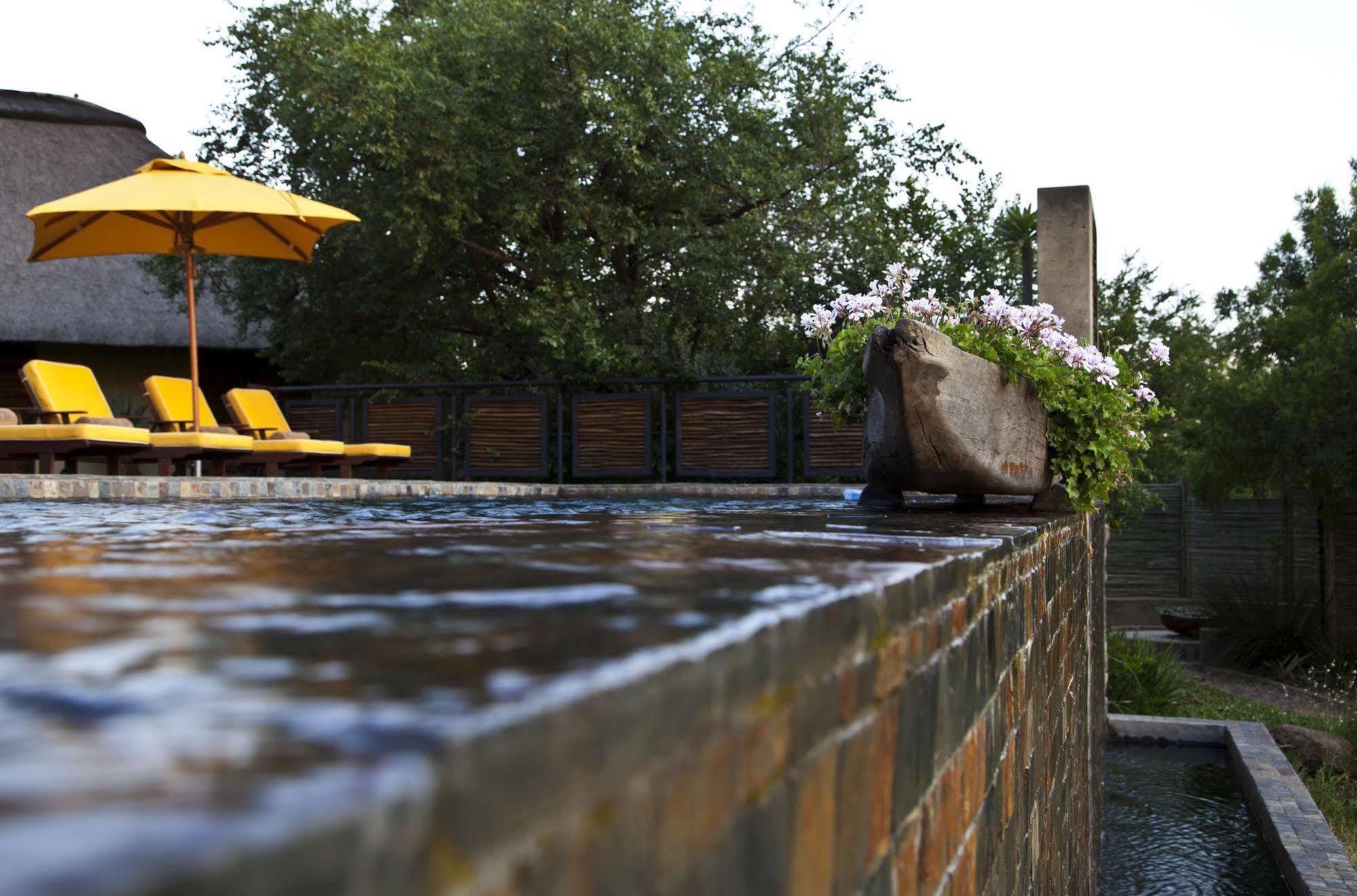 Aloe Lane Guest Lodge Kyalami Экстерьер фото