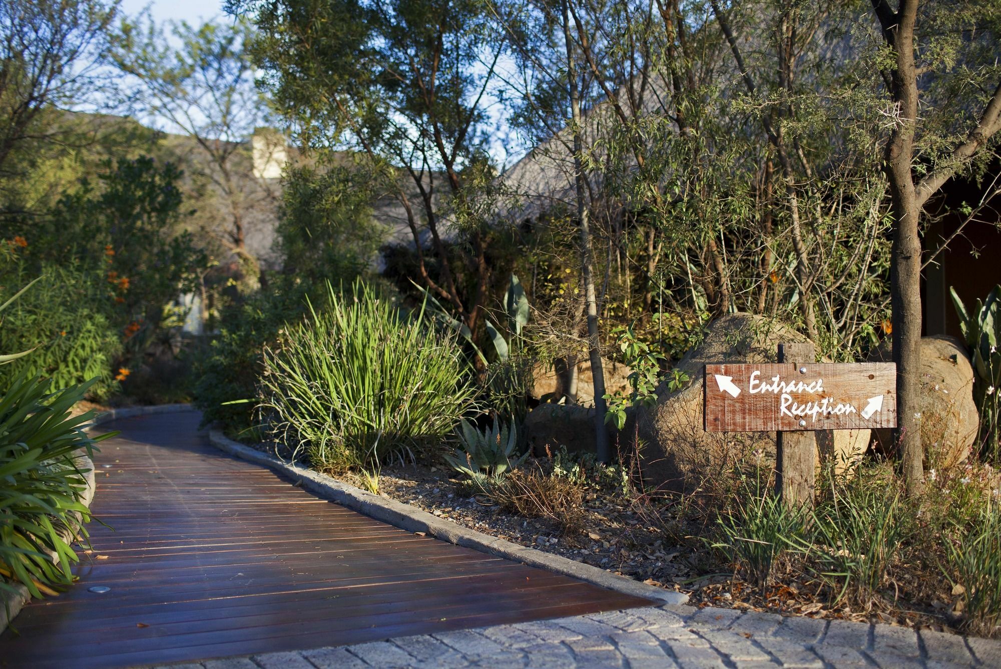 Aloe Lane Guest Lodge Kyalami Экстерьер фото